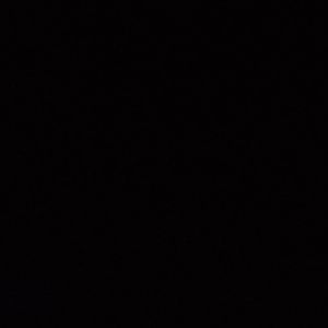 Meet your Posher, Phillip